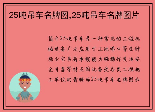 25吨吊车名牌图,25吨吊车名牌图片