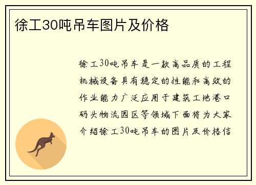 徐工30吨吊车图片及价格