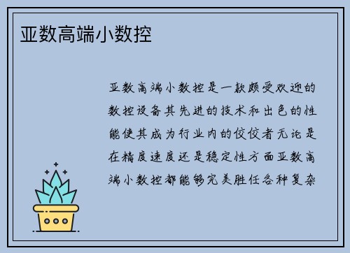 亚数高端小数控